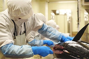 水産加工業（第一加工）