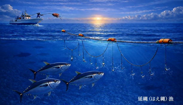 延縄（はえ縄）漁