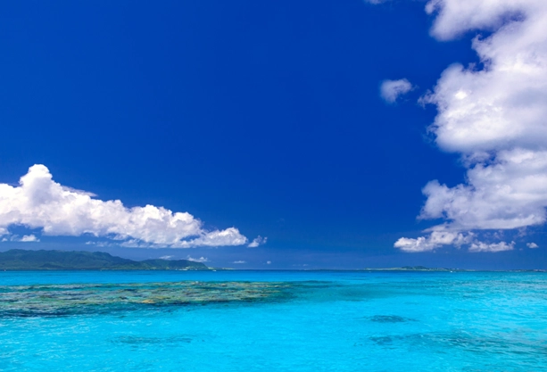 安定供給と確かな品質を、両立させるために